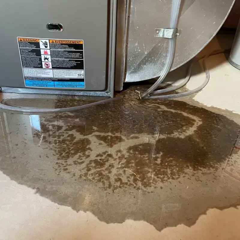 Appliance Leak Cleanup in Medford, MN